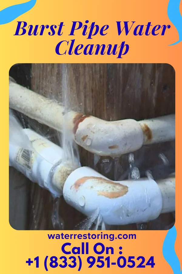 Burst Pipe Water Cleanup in Thermopolis, WY