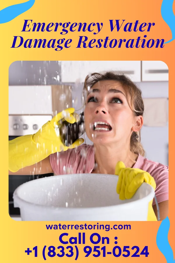 Emergency Water Damage Restoration in Thermopolis, WY