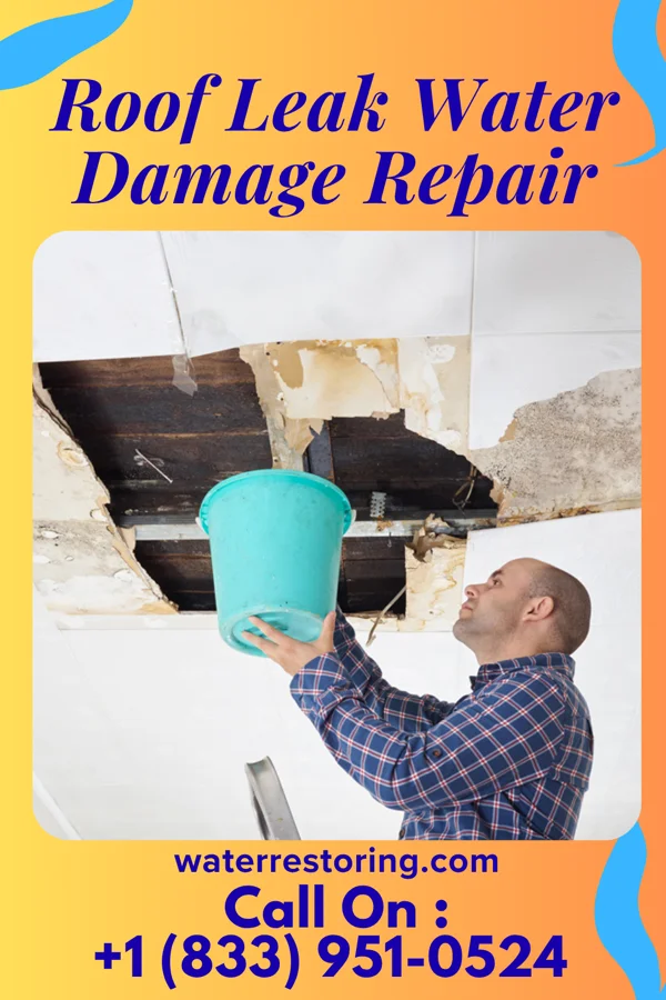 Roof Leak Water Damage Repair in Thermopolis, WY