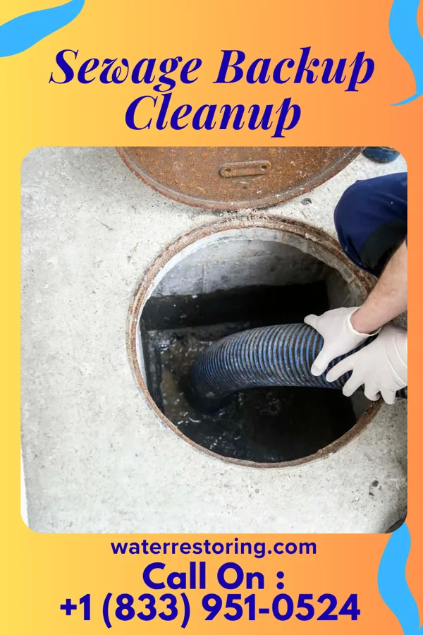 Sewage Backup Cleanup in Thermopolis, WY