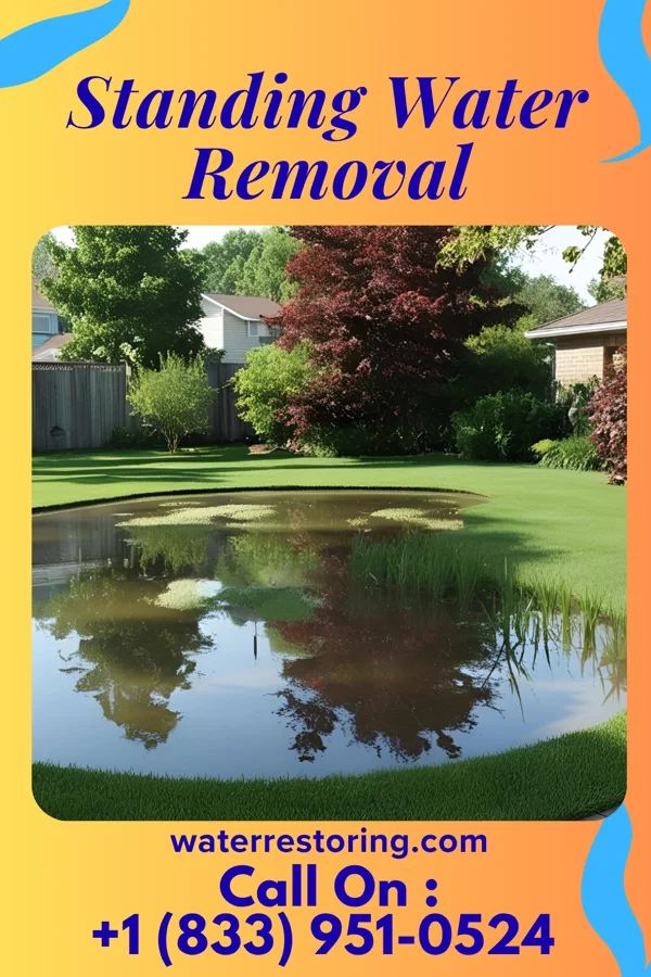 Standing Water Removal in Thermopolis, WY